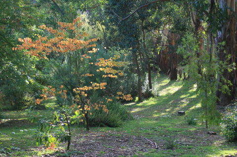 Strathmore Farm B&B - Accommodation Bookings 25