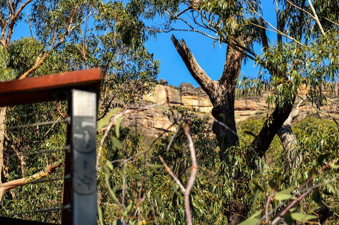 Blue Ridge Retreat - Accommodation Bookings 14