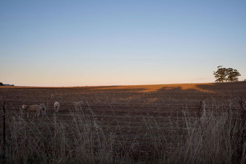 East Street Daylesford - Accommodation Bookings 13
