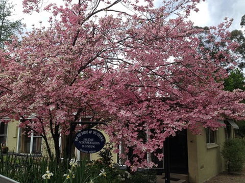 On The Banks - Accommodation Bookings 23