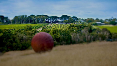 Jettycove Beach House - Accommodation Bookings 27