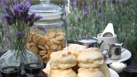 Jettycove Beach House - Accommodation Bookings 23