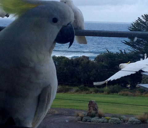 Apollos View Accommodation - Accommodation Bookings 21