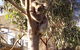 Apollos View Accommodation - thumb 22
