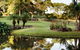 The BlueGreen SANCTUARY - thumb 3
