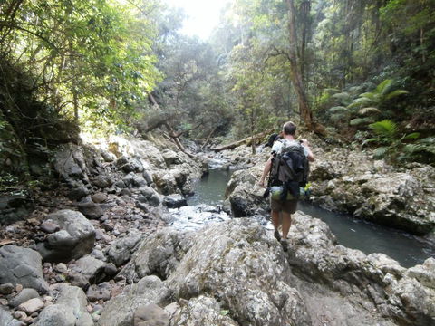 The Canungra Motel - Accommodation Bookings 1