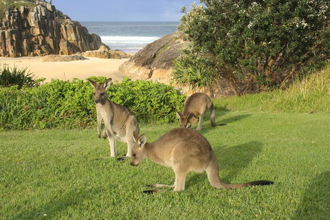 The Carrai - Accommodation Bookings 2