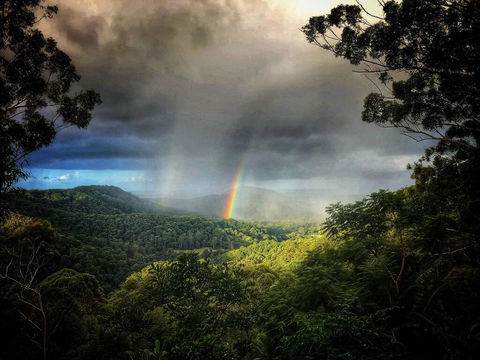 The Den Of The Treehouse, KINABALU Farm - Accommodation Bookings 0