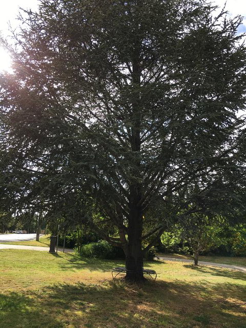 The Glasshouse Boutique Accommodation - Accommodation Bookings 3