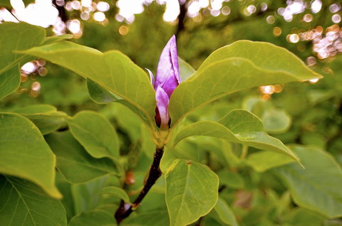 The Glasshouse Boutique Accommodation - Accommodation Bookings 2