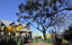 The Great House BnB - thumb 1