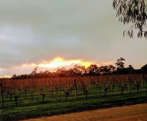 The Grove Distillery & Brewery - Accommodation Bookings 2