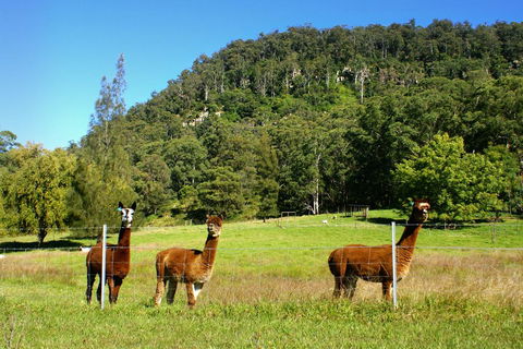 The Heavens Mountain Escape - Accommodation Bookings 2