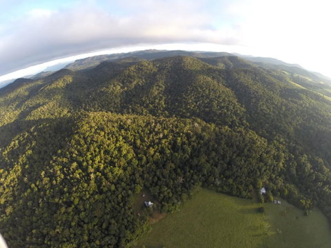 The Jungle Stays - Accommodation Bookings 1