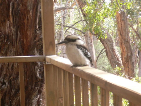 The Ledge Holiday House - Accommodation Bookings 0