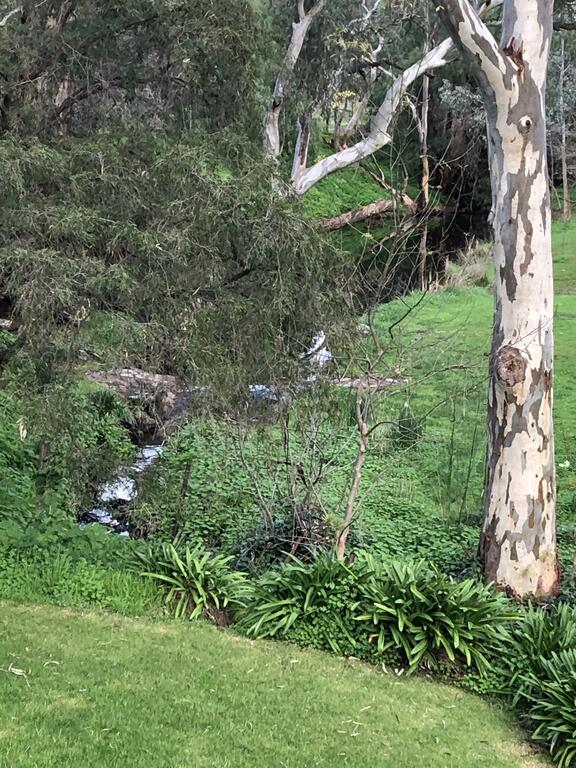 Cockatoo Valley SA Accommodation Bookings