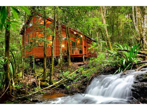 The Mouses House Rainforest Retreat - Accommodation Bookings 0