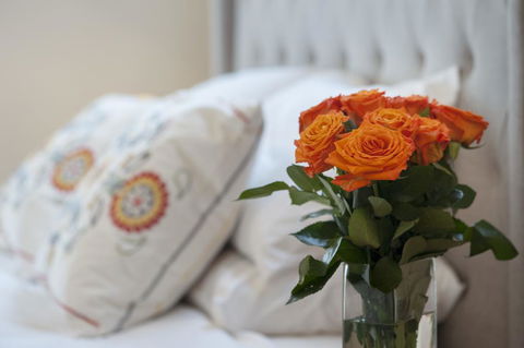The Nest At Gundaroo - Accommodation Bookings 1