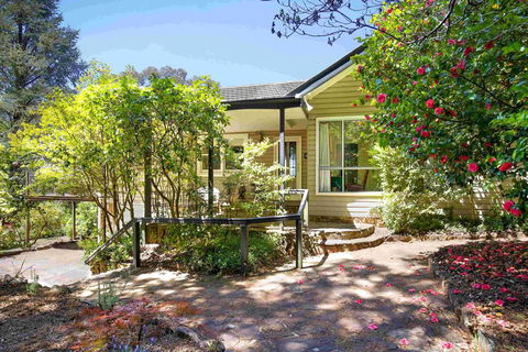 The Nineteenth - Accommodation Bookings 0