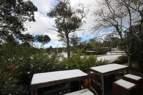 The Nineteenth - Accommodation Bookings 3