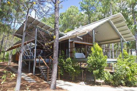 The Pines - Accommodation Bookings 0