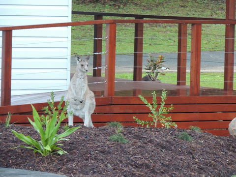 The Pouch B & B - Accommodation Bookings 1