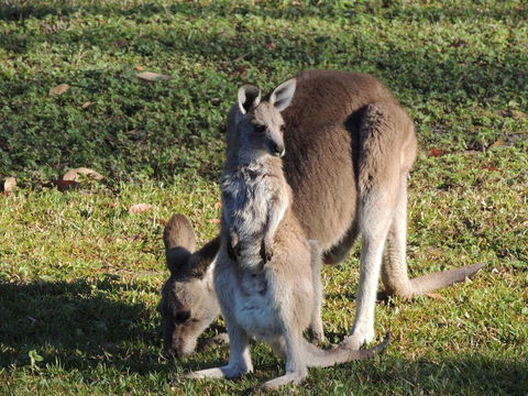 The Pouch B & B - Accommodation Bookings 2