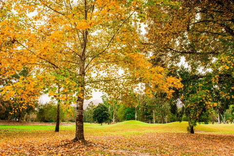 The Retreat At Wisemans - Accommodation Bookings 1