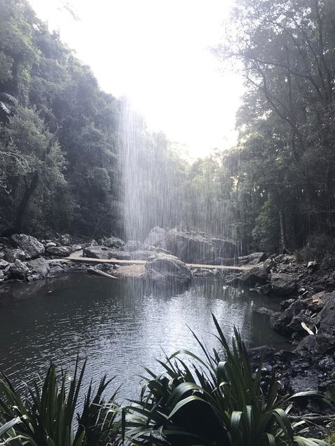 The Sanctuary At Springbrook - Accommodation Bookings 3