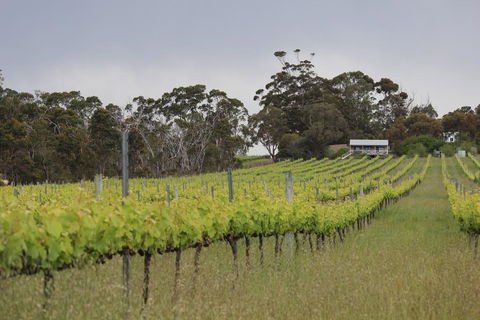 The Sleeping Lady Private Retreat - Accommodation Bookings 2