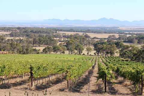 The Sleeping Lady Private Retreat - Accommodation Bookings 1