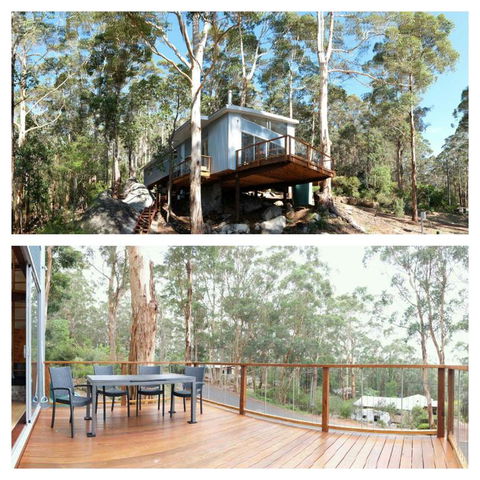 The Tree House - Accommodation Bookings 3