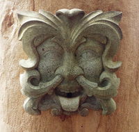 The Tree House - Accommodation Bookings