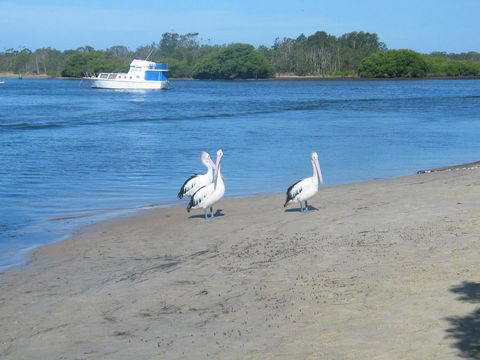 The Ultimate Holiday Retreat - Accommodation Bookings 1