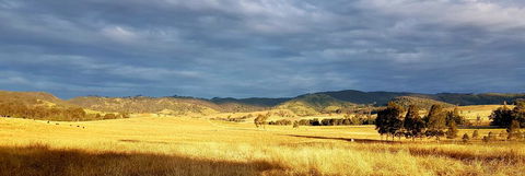 The Wattle Lodge - Accommodation Bookings 1