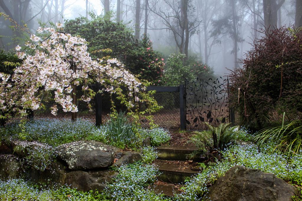 Mount Tomah NSW Accommodation Bookings