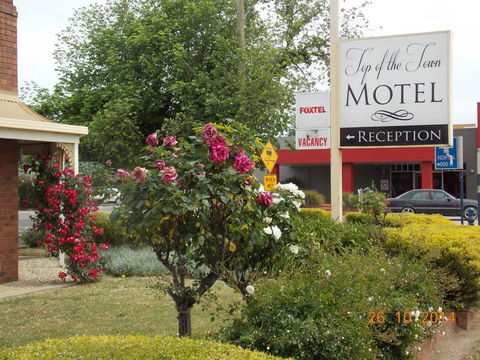 Top Of The Town Motel - Accommodation Bookings 3