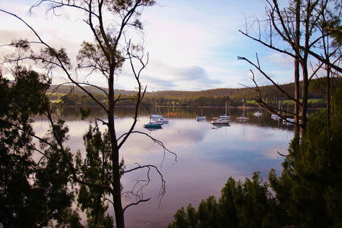Tranquil Point - Accommodation Bookings 0