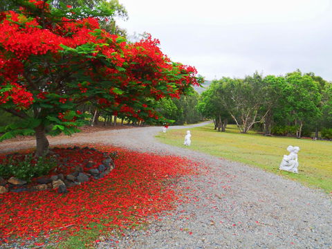 TRANQUILO BEACH HOUSE - Accommodation Bookings 1