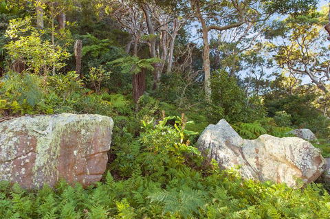 Treehouse Palm Beach - Accommodation Bookings 2