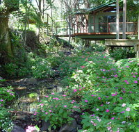 Treetops Montville - Accommodation Bookings