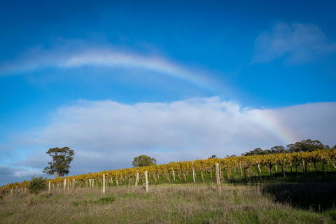 Triple Creek Guest House - Barossa Region - Accommodation Bookings 2