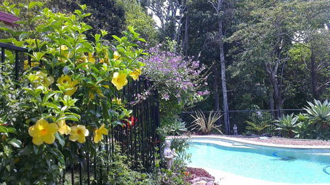 Tropical Coast Retreat - Pet Friendly - Accommodation Bookings 0