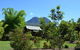 Tuckeroo Cottages & Gardens - thumb 3