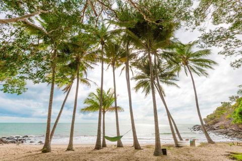 Turtle Cove Beach Resort - Adults Only LGBTQIA & Allies - Accommodation Bookings 3