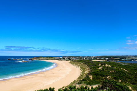 Twelve Apostles Beach House B&B - Accommodation Bookings 1