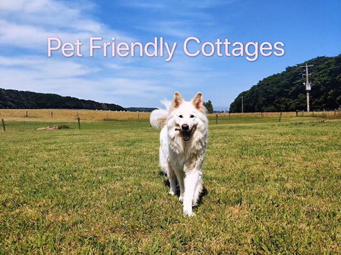 Twelve Apostles Motel & Country Retreat - Accommodation Bookings 2