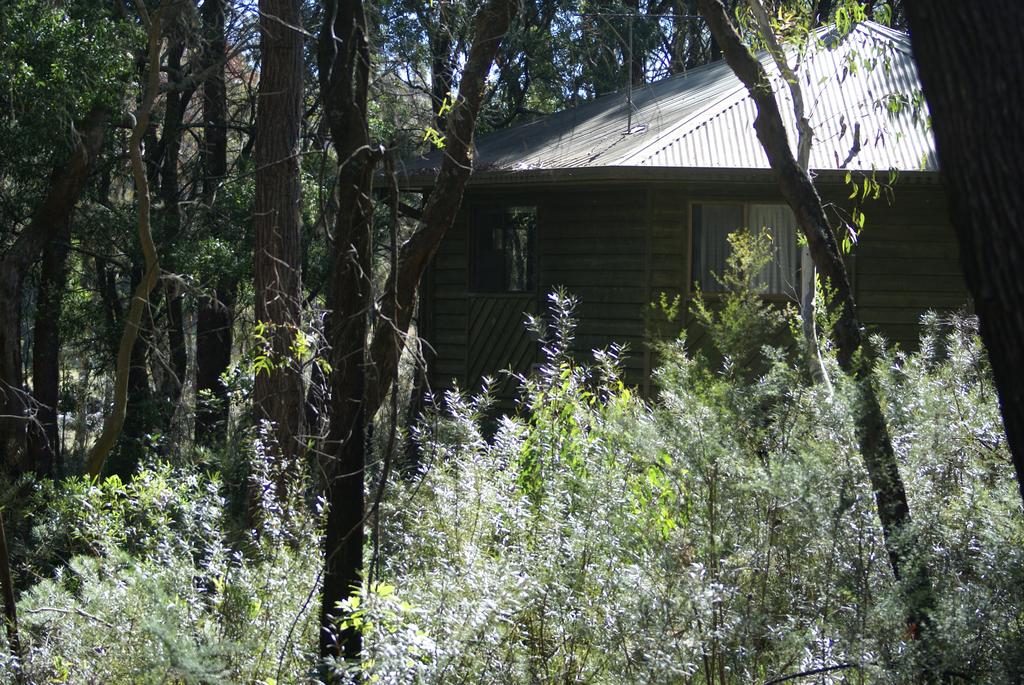 Fitzroy Falls NSW Accommodation Bookings