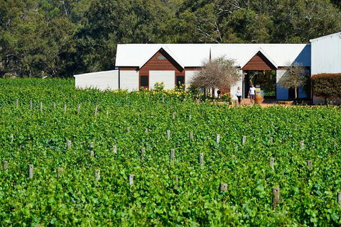Upper Reach Spa Cottage - Accommodation Bookings 0