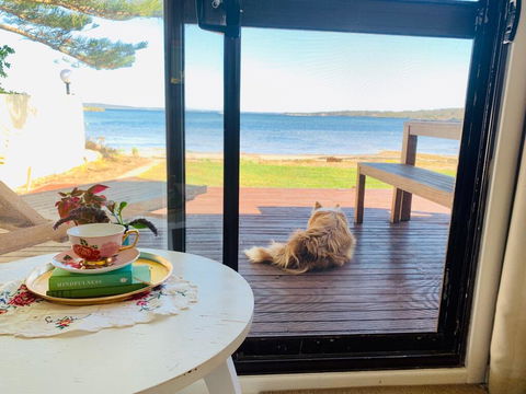 Vandy's Shack At Mount Dutton Bay - Ideal For Couples And Small Families - Accommodation Bookings 3